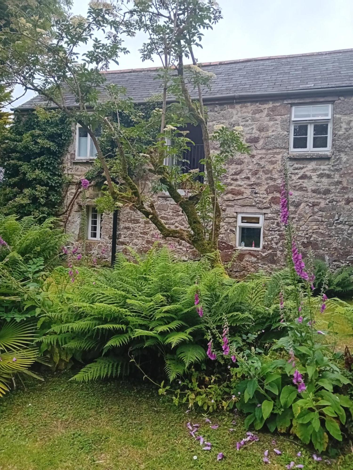 Chypons Farm Bed & Breakfast Penzance Extérieur photo
